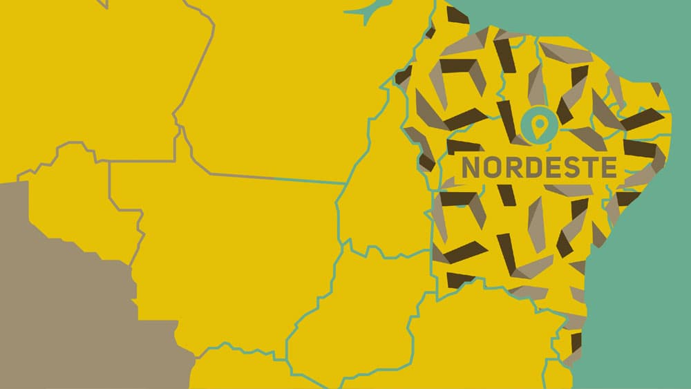 Melhores franquias para investir no Nordeste